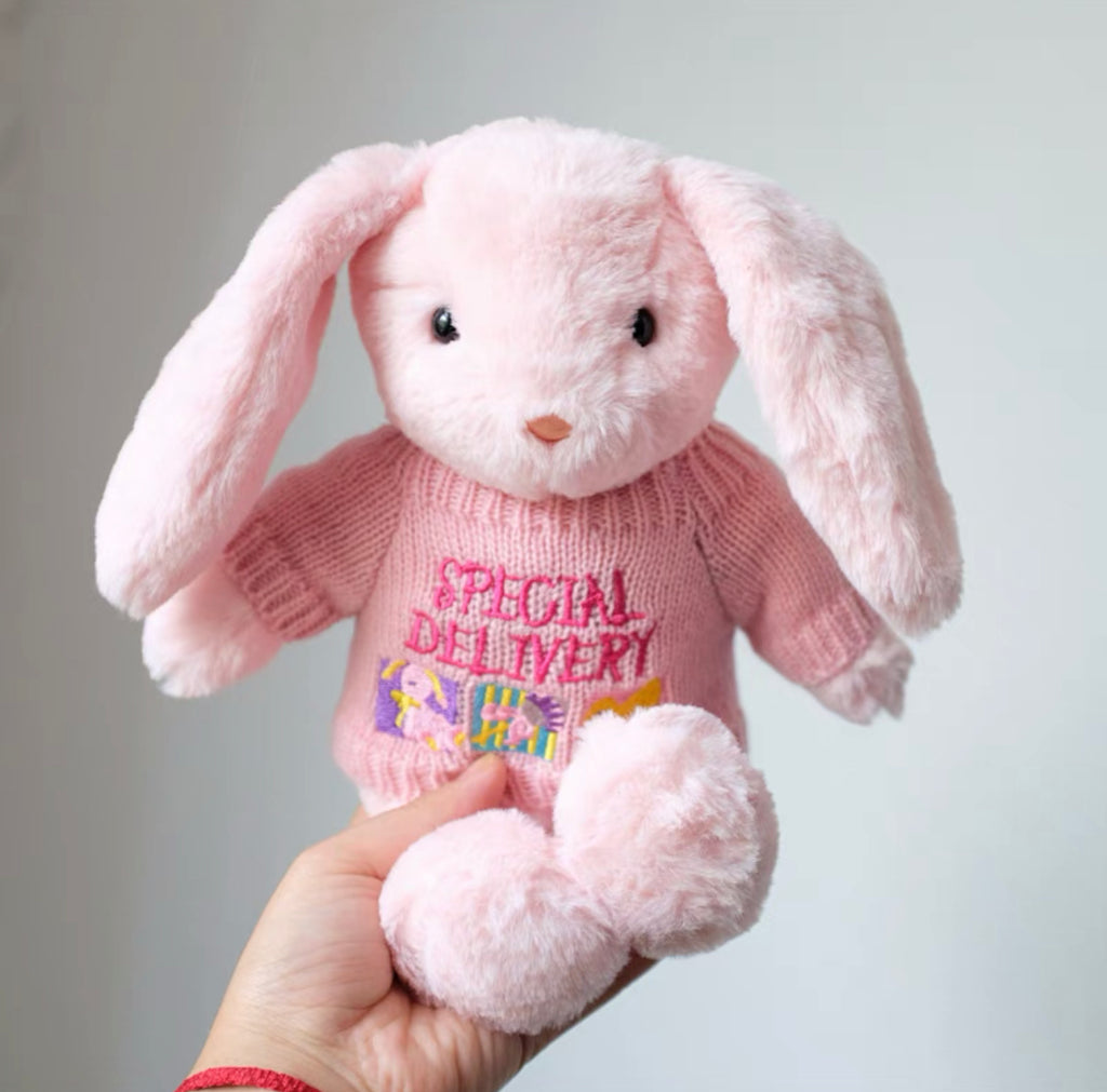 Special Pink Bunny Plushie