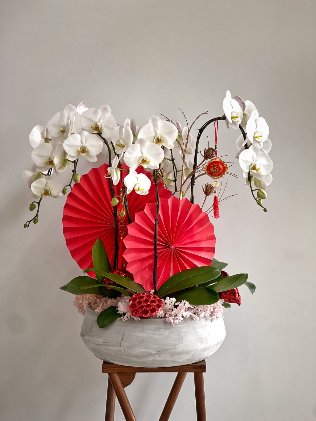 Red Lantern Orchids