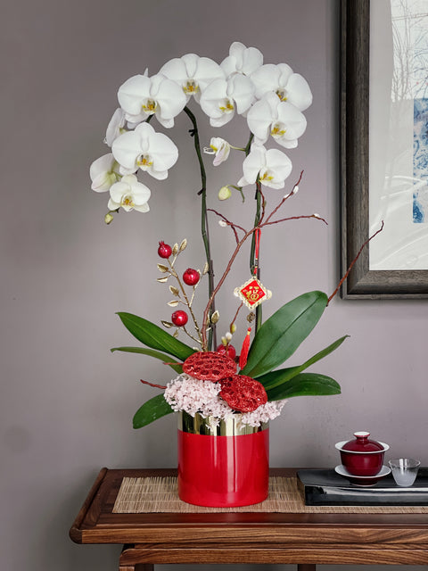 Chinese New Year Orchid Planter